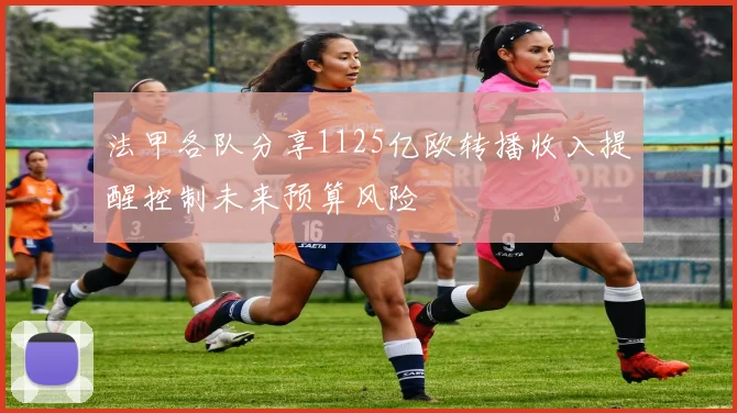 法甲各队分享1125亿欧转播收入提醒控制未来预算风险