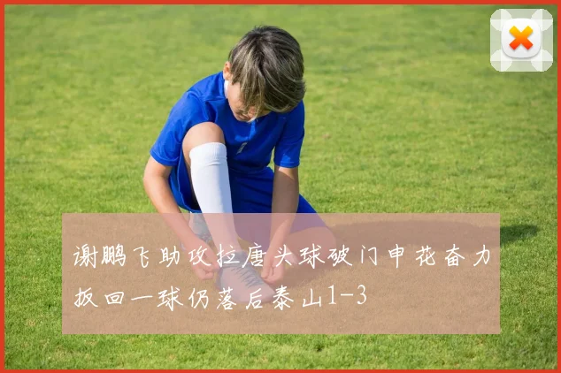 谢鹏飞助攻拉唐头球破门申花奋力扳回一球仍落后泰山1-3